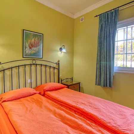 Apartamentos Todoque Апартаменты